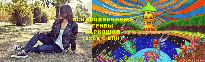 Галлюциногенные грибы мухоморы  блэк спрут сайт  Камызяк 