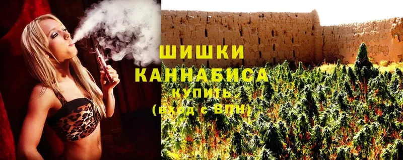 где купить наркоту  Камызяк  Конопля OG Kush 